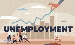 استان‌ های دارای نرخ بیکاری تک رقمی در تابستان ۱۴۰۳ معرفی شدند