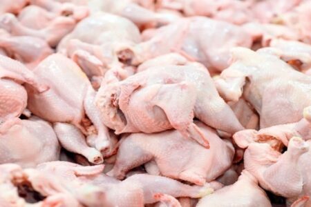 قیمت مرغ امروز ۲۹ آذر ۱۴۰۴ / تداوم گرانی مرغ و تخم مرغ در بازار