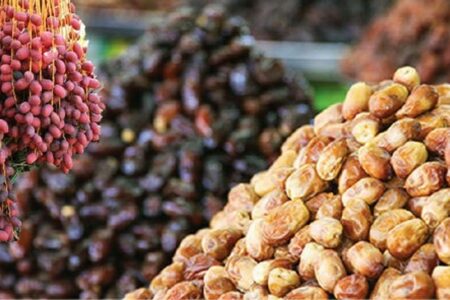 افت صادرات خرمای ایران / چرا خرمای ایران بازارهای جهانی را از دست داد؟