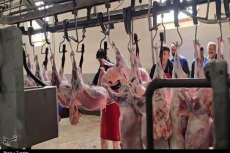 آغاز عرضه و ذبح بهداشتی عید قربان از ساعت 6 صبح فردا