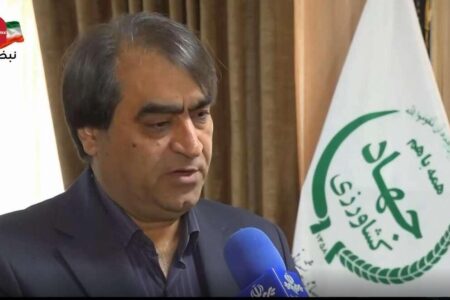 عرضه نامحدود مرغ منجمد در سراسر کشور