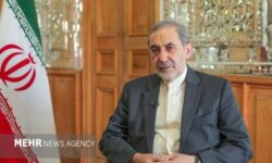ولایتی: ضامن عینی بقای توافق،⁧‫تنگه هرمز‬⁩ است