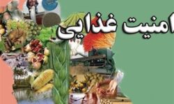 تامین کالاهای اساسی و امنیت غذایی از مسیر کشورهای همسایه