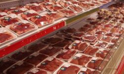 تداوم واردات گوشت منجمد از برزیل و لهستان