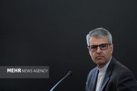 حمله پلیس هلند به همسر باردار مرد فلسطینی، نقض فاحش حقوق بشر است