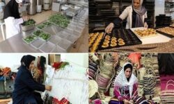 زنجیره تولید تا مصرف را برای کسب‌وکارهای خانگی تکمیل می‌کنیم