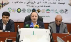 هیچ تصمیمی بدون مشارکت تشکل‌های کشاورزی اتخاذ نمی‌شود/ ضرورت تبیین علل افزایش قیمت توسط اتحادیه‌ها