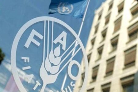 فائو هشدار داد: جهان با افزایش قیمت مواد غذایی مواجه است