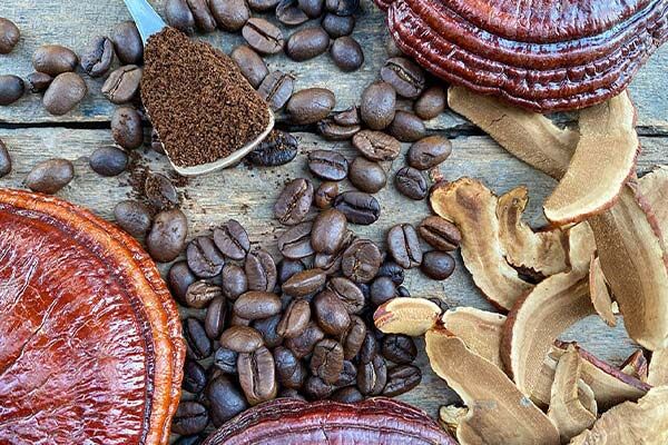 معجزه قهوه گانودرما در کاهش استرس قهوه گانودرما چیست و دلیل محبوبیت آن